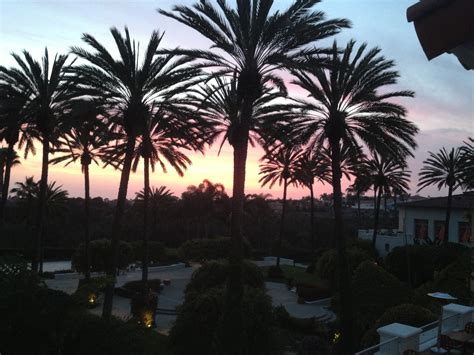 Park Hyatt Aviara Resort Carlsbad | Tranquil Spa Retreat in California ...