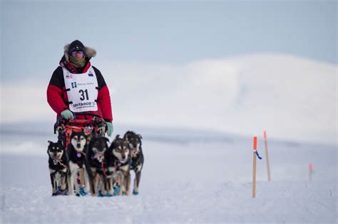 21 of our favorite photos from the 2023 Iditarod in Nome - Anchorage ...
