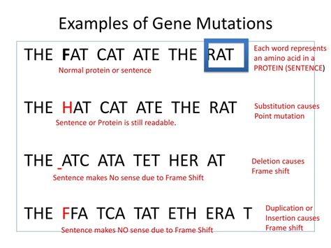 Mutation Example 的图像结果