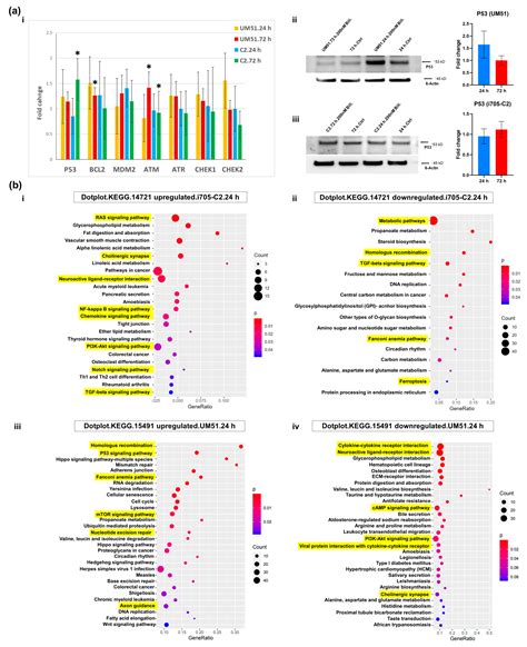 Free Bilirubin Induces Neuro-Inflammation in an Induced Pluripotent ...