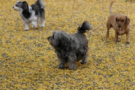 Un pur bonheur qui se transforme en cauchemar!