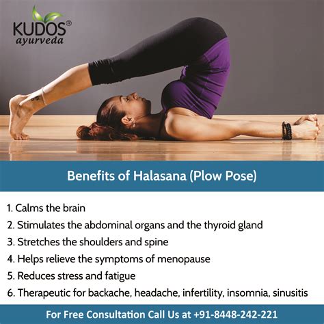 Benefits of Halasana (Plow Pose) | Daily yoga workout, Learn yoga, All ...