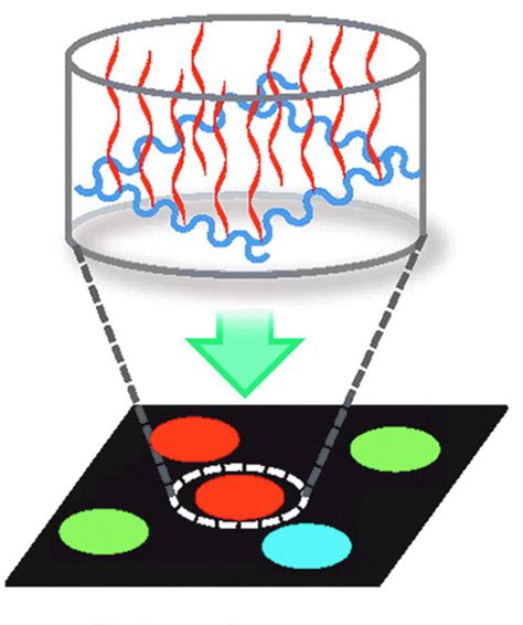Library Screening 的图像结果