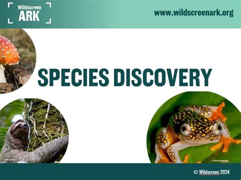 Image result for How Do Classification Keys Work