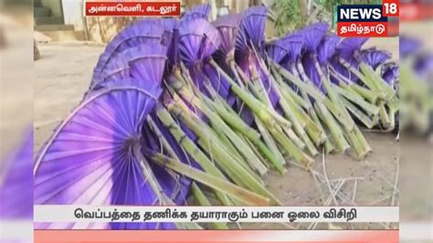 வெப்பத்தை தணிக்க தயாராகும் பனை ஓலை விசிறி | Tamil Nadu Videos ...