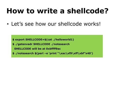 Image result for Shellcode Example
