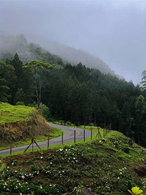 174 Hz Frequency Benefits - EZ Manifesting