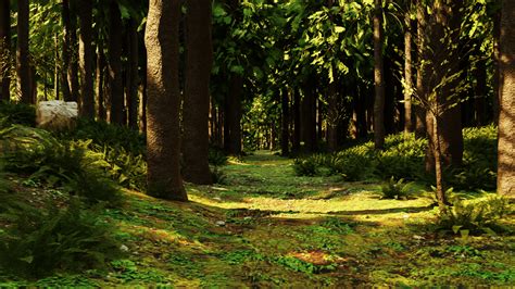 Forest Floor Wallpapers - Top Free Forest Floor Backgrounds ...