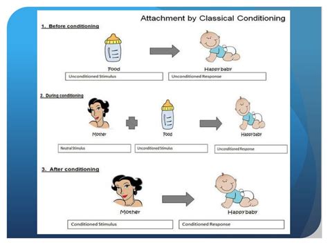 Image result for Classical Conditioning PNG
