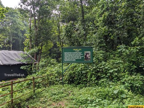 #DayTripsFromKochi: Part 3, Kodanadu - Paniyeli Poru