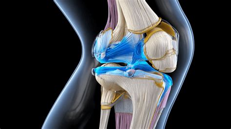 ACL Tear vs Sprain: Recovery Timelines Explained - CU Independent