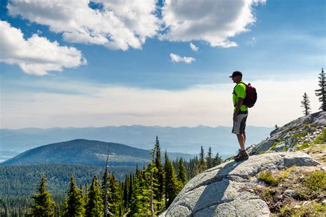 x ray Technologist Jobs | ProMed HR Solutions