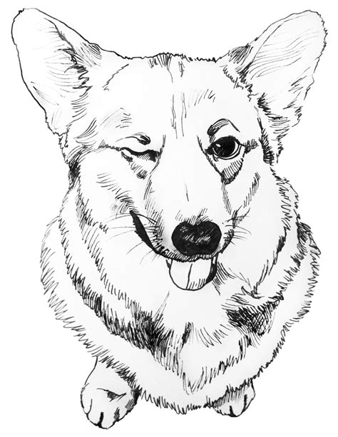Printable Corgi Coloring Pages - Printable Word Searches