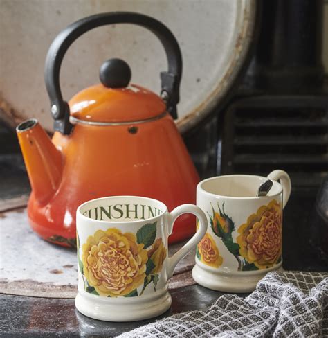 Emma Bridgewater 'Bring Me Sunshine' Mug - National Garden Scheme