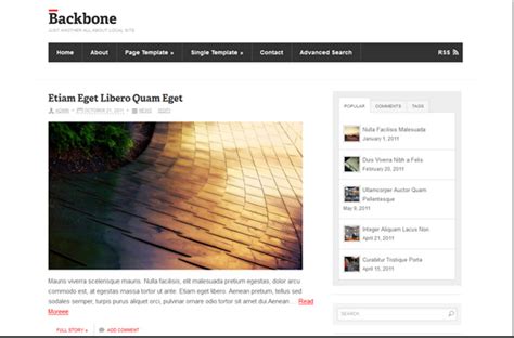 Image result for Offline WordPress Customization Tutorials