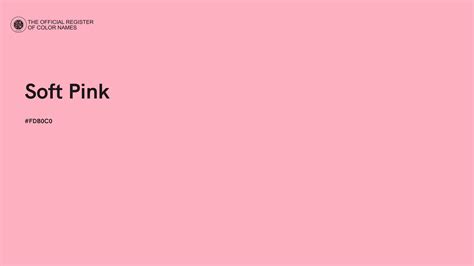 Soft Pink color - #FDB0C0 - The Official Register of Color Names