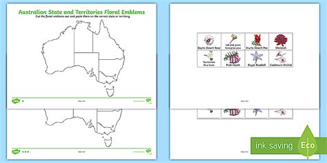 SA Australian State and Territories Floral Emblems Cut and Paste