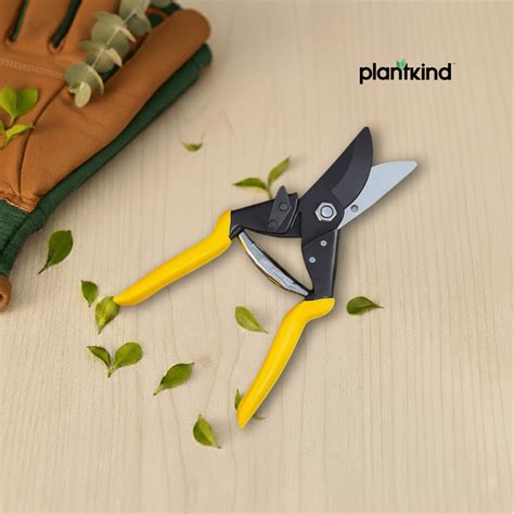 Plantkind Heavy Duty Bypass Pruner 1 Pc | Gardening Tools | Pack Of 1 ...