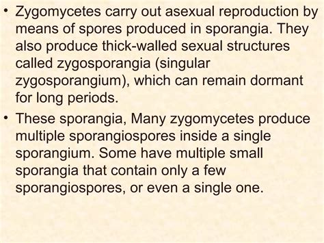 Zygomycotina | PPT