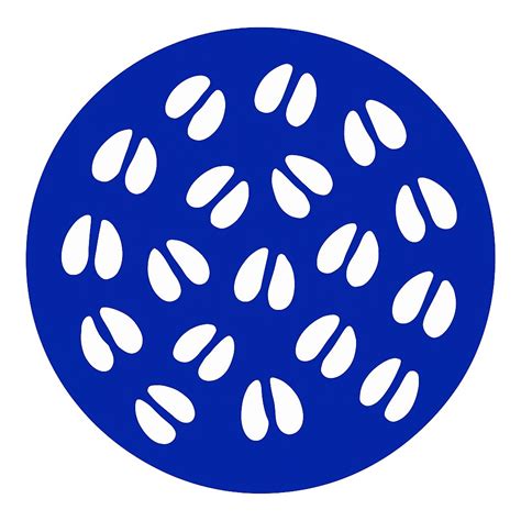 PRRSV Spanish Strains