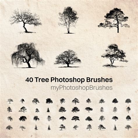 40 Tree Photoshop Brushes - Free ABR Download | MPB