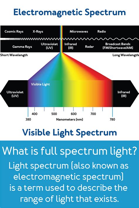 Image result for Types of Spectrum