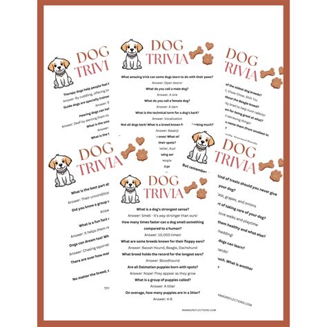 Dog Questions 的图像结果