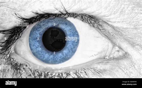 Blue Eye Macro Bot Tutorial 的图像结果