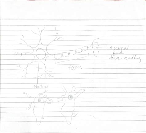 Image result for Chart Science for 10 Class