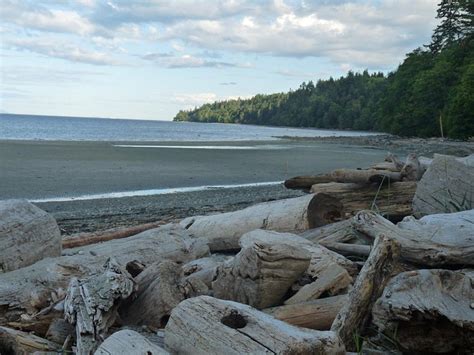 THE ALDERS BEACH RESORT (Merville) - Ranch Reviews & Photos - Tripadvisor