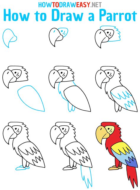 Image result for How to Draw Simple Parrot