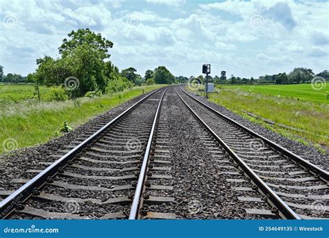 Image result for Two Parallel Lifelines