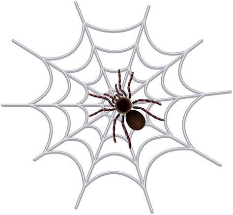 Spider web Clip art - Spider Web Transparent Clip Art Image png ...