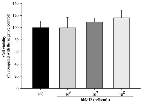 Probiotic Propionibacterium freudenreichii MJ2 Enhances Osteoblast ...