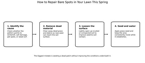 Why Bare Spots Appear in Edmonton Lawns Every Spring