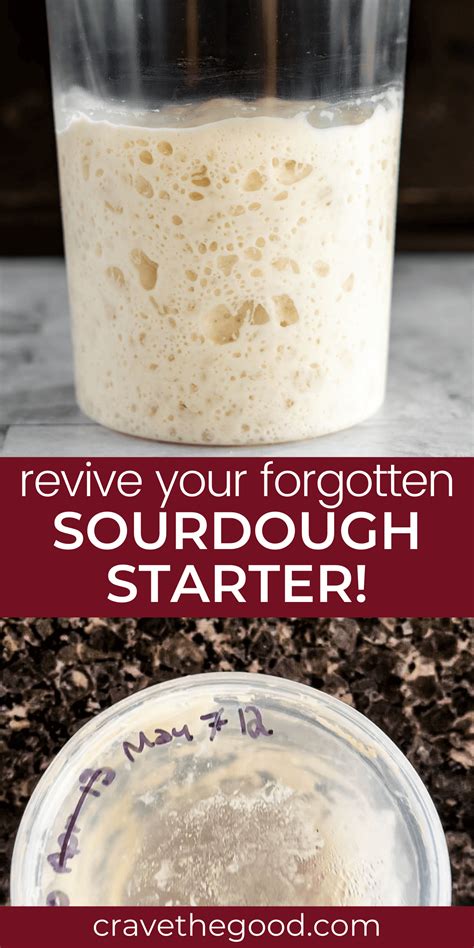 How To: Revive Sourdough Starter | Sourdough starter recipe, Bread ...