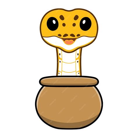 Image result for Ivory Ball Python