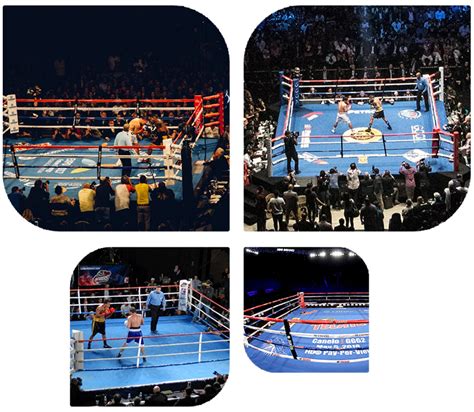 Boxing Transparent 的图像结果