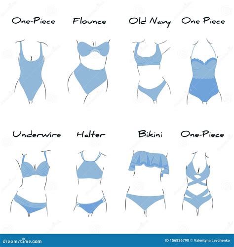Illustration with Types of Swimsuites Inside. Every Type Has Name Stock ...