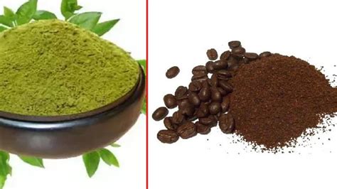 Coffee is a panacea to get rid of white hair: know the method of use ...
