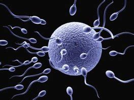 queens fertility center - QUEENS FERTILITY CENTER TIRUNELVELI NELLAI's ...