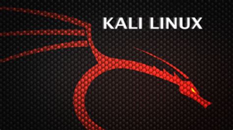 Image result for Large Kali Linux