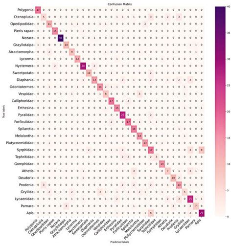 Leveraging Hyperspectral Images for Accurate Insect Classification with ...