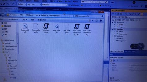 Vsdebugconsole exe Path 的图像结果