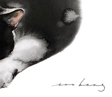 Cat Snooze Drawing by Soo Beng Lim | Saatchi Art
