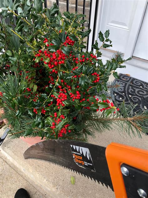 Princess Polska Nudes