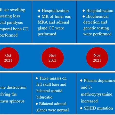 Image result for Case Formulation Timeline