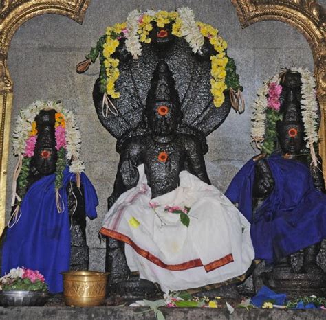 Puja For Sarpa Dosham at Vetticode Nagaraja Temple & Tirunageshwaram ...