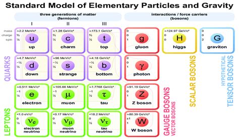 Image result for Elementary Particles
