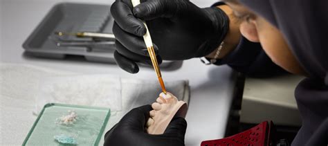 Institute of Dental Studies & Technologies, Modinagar | Best Dental ...